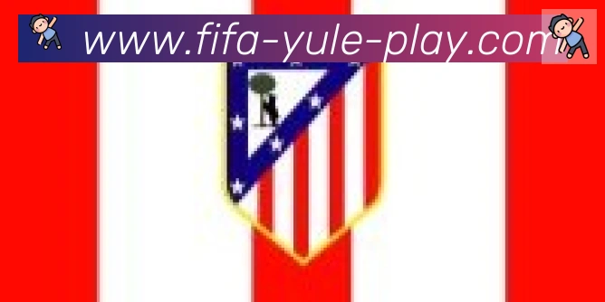 FIFA世界杯买球入口合作伙伴